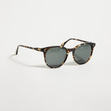 Norie (Brindle Tortoise/ Green Polarized)