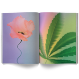 A Weed is a Flower Coffee Table Book