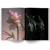 A Weed is a Flower Coffee Table Book