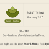 Wild Herb Tonic - 7.2 oz Standard Soy Candle