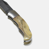 Large Rams Horn Inlay Folding Knife