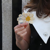 Hand-painted Vintage Daisy Compact Mirror