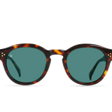 Zelti (Kola Tortoise / Pacifica)