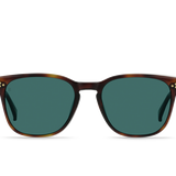 Alvez (Kola Tortoise/Pacifica)