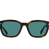 Carby (Kola Tortoise/Pacifica)