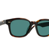 Carby (Kola Tortoise/Pacifica)