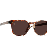 Alvez (Tahoe Rose/Drift Polarized)