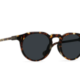 Remmy Rec (Brindle Tort / Terra Polarized)