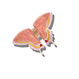 Hand-painted Swallowtail Butterfly Claw Hair Clip: White
