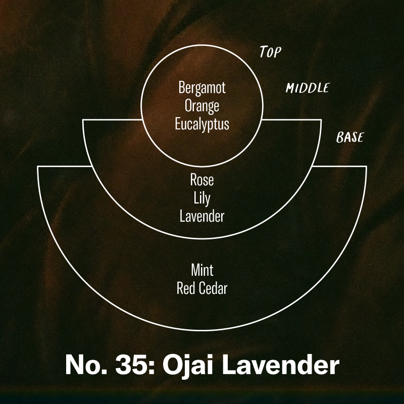 Ojai Lavender - Incense