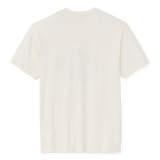 Dry Fly Graphic (Basswood)