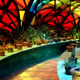 The Avant Gardens