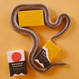 Two Deserts Soap