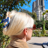 Swallow Bird Claw Hair Clip