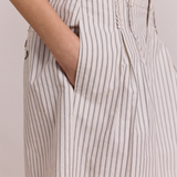 Ambrosia Shorts (Stripe)