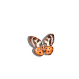 Hand-painted Tiger Moth Claw Hair Clip | Eco-Friendly (Copy): Animal
