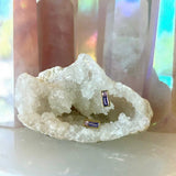 Pleione Crystal Stud Earrings