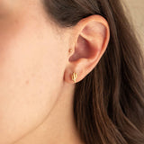 Saguaro Cactus Stud Earrings in Gold