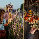 Designing with Dried Flowers