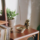 Meadowland Incense Sticks – Grass, Cedar & Patchouli | Slow Burning, 20-Pack