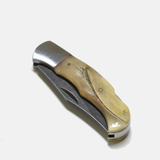 Large Rams Horn Inlay Folding Knife