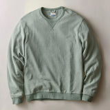 Relaxed Cloud 9 Terry Crewneck (Balsam Green Stripe)