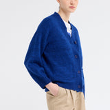 The Dolphin in Electric Blue