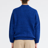 The Dolphin in Electric Blue