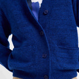 The Dolphin in Electric Blue