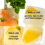 Citrush Fine Fragrance (10mL)