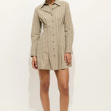 Camille Striped Shirt Dress in Poplin Stripe (Khaki Stripe)