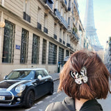 Hand-painted Tiger Moth Claw Hair Clip | Eco-Friendly (Copy): Animal