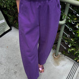 Arc Pants (Eggplant)