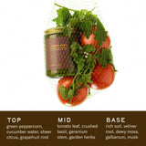 Tomato Vines– Standard Candle