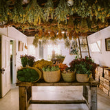 The Avant Gardens