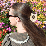 Hand-painted Good Luck Horseshoe Claw Hair Clip
