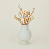 Essential Ceramic Vase (Bone/Small)