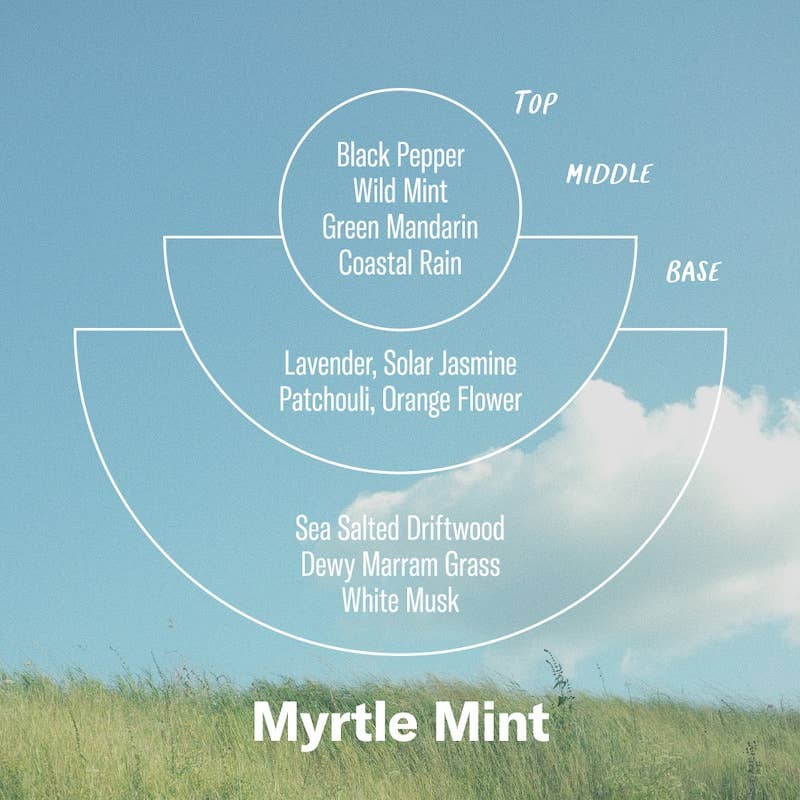 Myrtle Mint - Alchemy Incense Cones