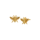 Honey Bee Stud Earrings in Gold