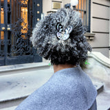 Hand-painted Tiger Moth Claw Hair Clip | Eco-Friendly (Copy): Animal