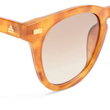 Evolution (Vintage Tortoise)