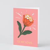 ‘To My Love’ Greetings Card